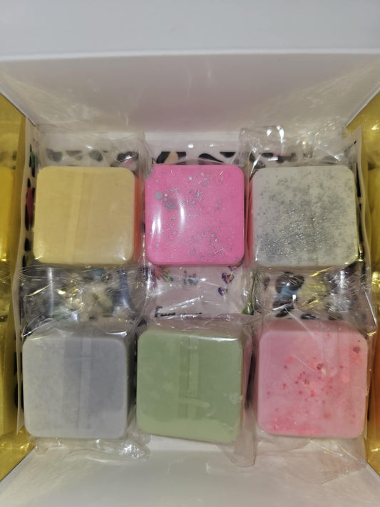 Sample Station